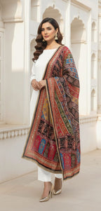 Colourful Ethnic Suit Set With Spectacular Embellished Mirrored Dupatta